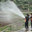 대원3리 이미지