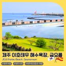 이호운동장 | 제주시 이호테우 해수욕장과 금오름 애견동반 가능한 곳