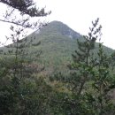 일운마을 Daum카페
