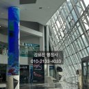 행정사합동사무소 서로 여의도본점 이미지