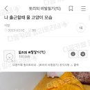 나 출근할때 울 고양이 모습 이미지