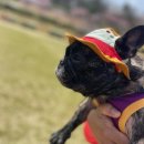 남궁요양병원 이미지