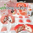 떡과 디저트 | 청년떡집 루피 딸기크림떡 후기 디저트 선물 추천