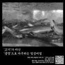 말바우약국 | [공지] 9월 일상비질