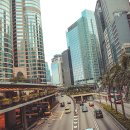 일대쇼핑 주식회사 이미지