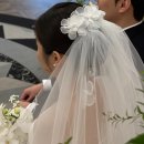 한마음치과기공소 네이버블로그