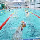 순창군 실내수영장 이미지