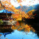 우화정 - 경산시 | 우화정