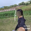 팜비즈랩 | 10월 일상 (1)