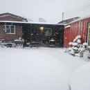 참나무온돌펜션 이미지