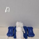 멍쓰홀릭 이미지