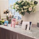 우당탕탕 사고뭉치 이미지