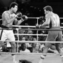 INTO BOXING 이미지