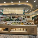 달리는커피다산테라 | 다산 샤브샤브 맛집 샤브올데이 테라타워점 가격, 메뉴, 주차 내돈내산 솔직후기