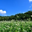 서정여인숙 이미지