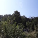 서구-01-21 이미지