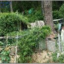 포항시북구24 이미지