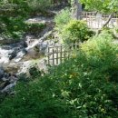 죽녹원로 이미지