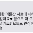 미스터짹