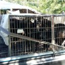 행구축산 이미지