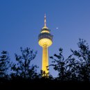 대구경북양돈농협 농협한돈프라자 이미지