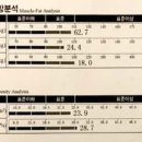 루케테 이미지