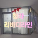 리바디핏 | 청라 팔뚝살 관리 | 청라 리바디라인 에너지 테라피 후기