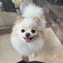 수양미용실 이미지