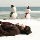 카멜리아 이미지