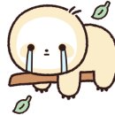 보라과일 - 3052 | 보라과일