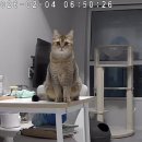 FM펫 스카이랜드 | 도쿄 with Hyonida-1일차 (시부야, 하라주쿠)