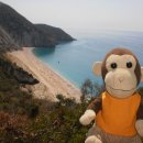 아롱이네 이미지