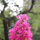 상월초등학교 이미지