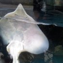 하의중학교 이미지