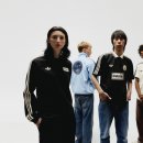 오아시스 이미지