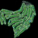 블루원CC (대중제) 이미지