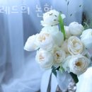 논현1-266 이미지
