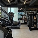 온더휘트니스 이미지