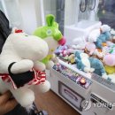 꿀잼 인형뽑기 연합뉴스
