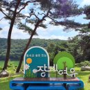 장계 티스토리