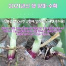 해현팜스테드