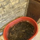 김미정남원추어탕삼계탕 | 대흥동 밥집 김미정 남원추어탕 삼계탕