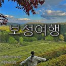 안양면 경로식당 무료급식소 | 보성 여행코스 5월 대한다원 녹차밭 율포해수욕장