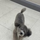 더키움 동물병원 이미지