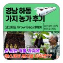 하동농장 | [후기] 🍆하동 가지 농장, SJ PLANT 코코피트 배지 2년 사용 후기!