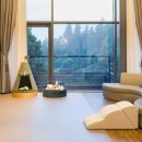 나의 반려견 이미지