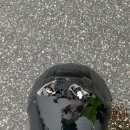 번개오토바이 이미지