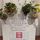 카페에이레네 - 서구 괴정로 77 | 동대문구 답십리 가성비 좋은 무인카페, 에이레네 답십리점 솔직후기