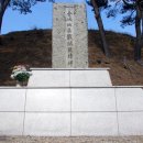 금성(아) 이미지