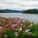 꽃님이네 이미지